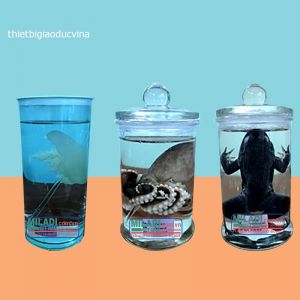 Mẫu động vật ngâm trong lọ