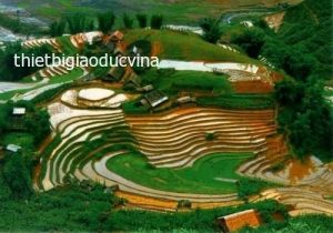 Bộ tranh/ ảnh: Một số dạng địa hình ở vùng Trung du và miền núi Bắc Bộ