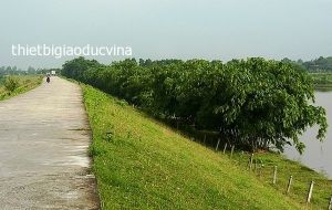 Tranh/ ảnh: Đê sông Hồng