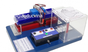 Thiết bị xác định hướng của lực từ